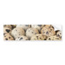 Quail Eggs Bumper Stickers