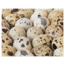 Quail Eggs Full Color Flyer
