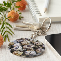 Quail Eggs Key Chain
