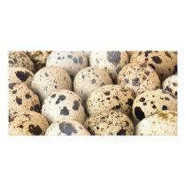 Quail Eggs Personalized Photo Card