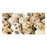 Quail Eggs Personalized Photo Card