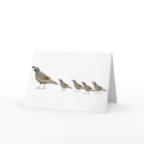 Quail Family Greeting Card