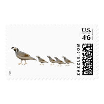 Quail Family Postage