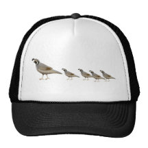 Quail Family Trucker Hat