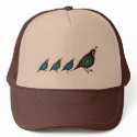 Quail hats by jamierushad Quail hats