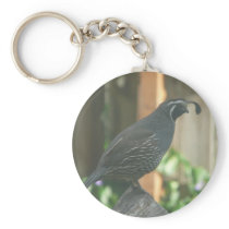quail key chains
