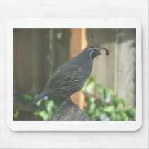 quail mouse mat