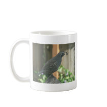 quail coffee mug