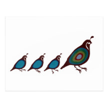 Quail Post Cards