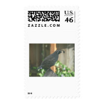 quail postage stamps