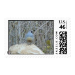 Quail Postage