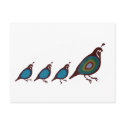 Quail postcards by jamierushad Quail postcards