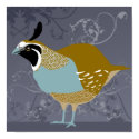 Quail posters