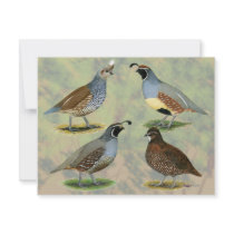 Quail Quartet invitations