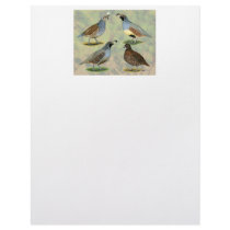 Quail Quartet letterhead by diane_jacky Quail Quartet letterhead