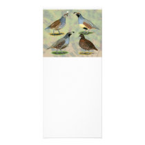 Quail Quartet rack cards