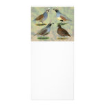 Quail Quartet Rack Card Template