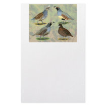 Quail Quartet stationery by diane_jacky Quail Quartet stationery