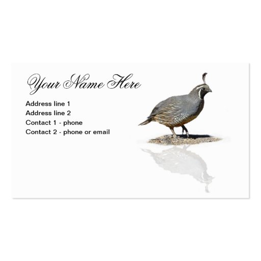 QUAIL REFLECTED #1 BUSINESS CARD