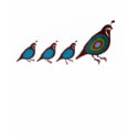 Quail t-shirts by jamierushad Quail t-shirts