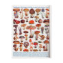 Quaint and Curious Toadstools Postcards