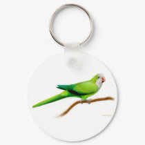 Quaker Monk Parakeet Keychain