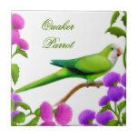 Quaker Monk Parrot in Thistles Tile