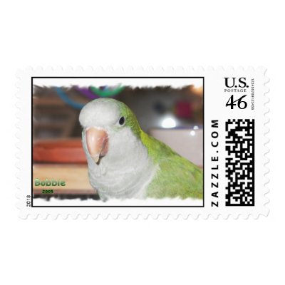 Quaker Parakeet Postage Stamps by petgroomer51