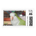 Quaker Parakeet postage by petgroomer51 Quaker Parakeet postage