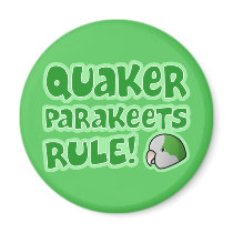 Quaker Parakeets Rule magnets