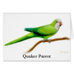 Quaker Parrot Greeting Card