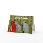 Quaker Parrot Parakeet Christmas Holiday Card