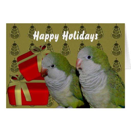 Quaker Parrot Parakeet Christmas Holiday Card Zazzle