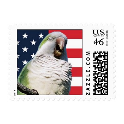 Quaker Parrot Patriotic Stamp by brooklynparrots