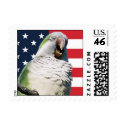 Quaker Parrot Patriotic Stamp by brooklynparrots Quaker Parrot Patriotic Stamp