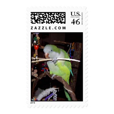 quaker parrot stamp by Omiof2