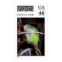 quaker parrot postage by Omiof2 quaker parrot postage