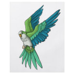 Quaker Parrot Products Flyer