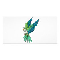 Quaker Parrot Products photo cards