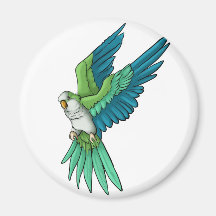 Quaker Parrot Products Refrigerator Magnets