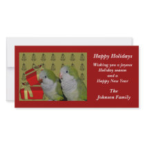 Quaker Parrots Animal Christmas Holiday Card Photo Cards