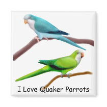 Quaker Parrots Magnet by twopurringcats Quaker Parrots Magnet