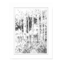 Quaking Aspen posters