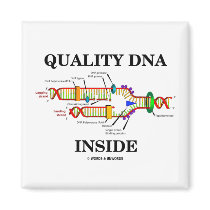 Quality DNA Inside (DNA Replication) Refrigerator Magnets