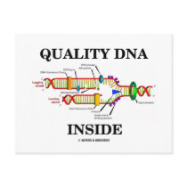 Quality DNA Inside (DNA Replication) Post Card