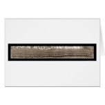 Quantico Marines Photo 1918 cards