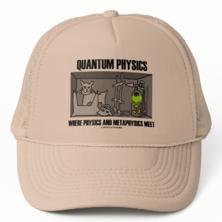 Quantum Physics Where Physics And Metaphysics Meet hat