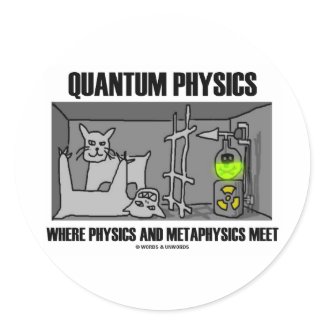 Quantum Physics Where Physics And Metaphysics Meet sticker