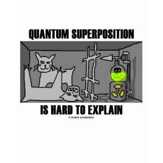 Quantum Superposition Is Hard To Explain (Physics) shirt