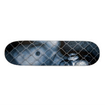 Quarantine Skateboard Decks